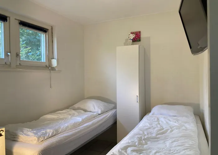 6 Pers - Modern Holiday Home With Garden, Close The Lauwersmeer